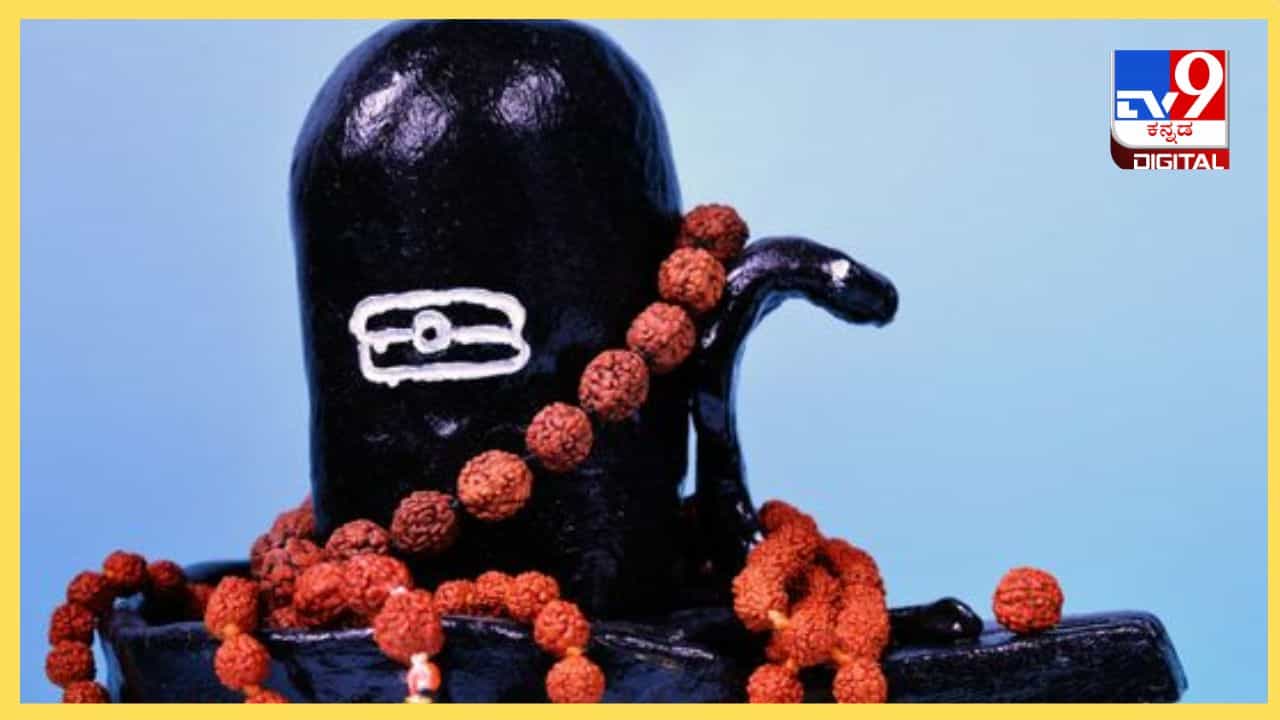 Maha Shivratri 2024: ಶಿವನಿಗೆ ರುದ್ರಾಕ್ಷಿ ಬಹಳ ಇಷ್ಟವಾಗಲು ಕಾರಣವೇನು? ಇದರ ಹಿಂದಿದೆ ಸ್ವಾರಸ್ಯಕರ ಕಥೆ! Maha Shivratri 2024: ಶಿವನಿಗೆ ರುದ್ರಾಕ್ಷಿ ಬಹಳ ಇಷ್ಟವಾಗಲು ಕಾರಣವೇನು? ಇದರ ಹಿಂದಿದೆ ಸ್ವಾರಸ್ಯಕರ ಕಥೆ!