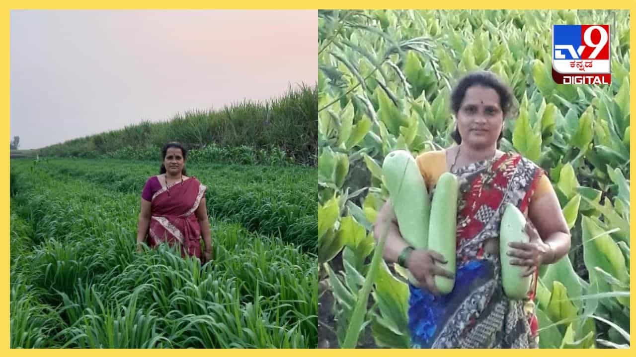 Womens Days Special : ಸಾವಯವ ಕೃಷಿಗೆ ಉಸಿರಾದ ಪ್ರೇಮಾ ಶಂಕರ ಗಾಣಿಗೇರ, ಇವರು ಮಹಿಳೆಯರಿಗೆ ಸ್ಫೂರ್ತಿ Womens Days Special : ಸಾವಯವ ಕೃಷಿಗೆ ಉಸಿರಾದ ಪ್ರೇಮಾ ಶಂಕರ ಗಾಣಿಗೇರ, ಇವರು ಮಹಿಳೆಯರಿಗೆ ಸ್ಫೂರ್ತಿ