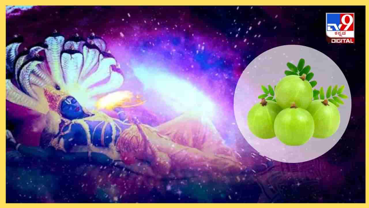 Amalaki Ekadashi 2024: ಈ ಏಕಾದಶಿಯಂದು ನೆಲ್ಲಿಕಾಯಿ ದಾನ ಮಾಡುವುದರಿಂದ ಎಷ್ಟೆಲ್ಲಾ ಲಾಭಗಳಿವೆ ಗೊತ್ತಾ?