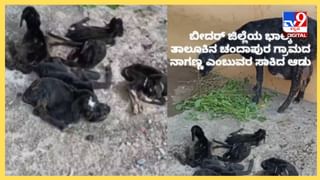 Viral News: ಏಕಕಾಲದಲ್ಲಿ ಇಬ್ಬರು ಯುವತಿಯರನ್ನು ಮದುವೆಯಾಗಲು ಈತ ಮಾಡಿದ ಪ್ಲಾನ್​​ ಏನು ಗೊತ್ತಾ?