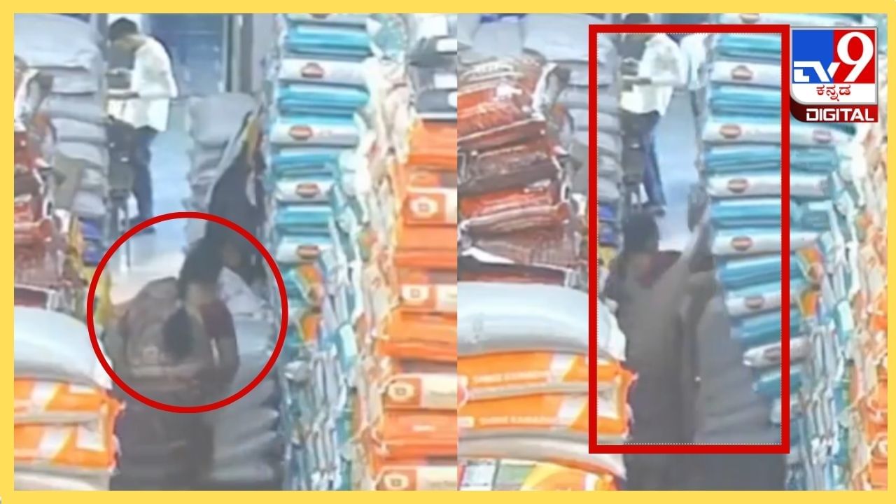 Viral Video: ಮಹಿಳೆಯ ಮೇಲೆ ಕುಸಿದು ಬಿತ್ತು ರಾಶಿ ರಾಶಿ ಅಕ್ಕಿ ಮೂಟೆ; ಕೆಲಸಗಾರರ ಸಮಯಪ್ರಜ್ಞೆಗೆ ಸಲಾಂ Viral Video: ಮಹಿಳೆಯ ಮೇಲೆ ಕುಸಿದು ಬಿತ್ತು ರಾಶಿ ರಾಶಿ ಅಕ್ಕಿ ಮೂಟೆ; ಕೆಲಸಗಾರರ ಸಮಯಪ್ರಜ್ಞೆಗೆ ಸಲಾಂ