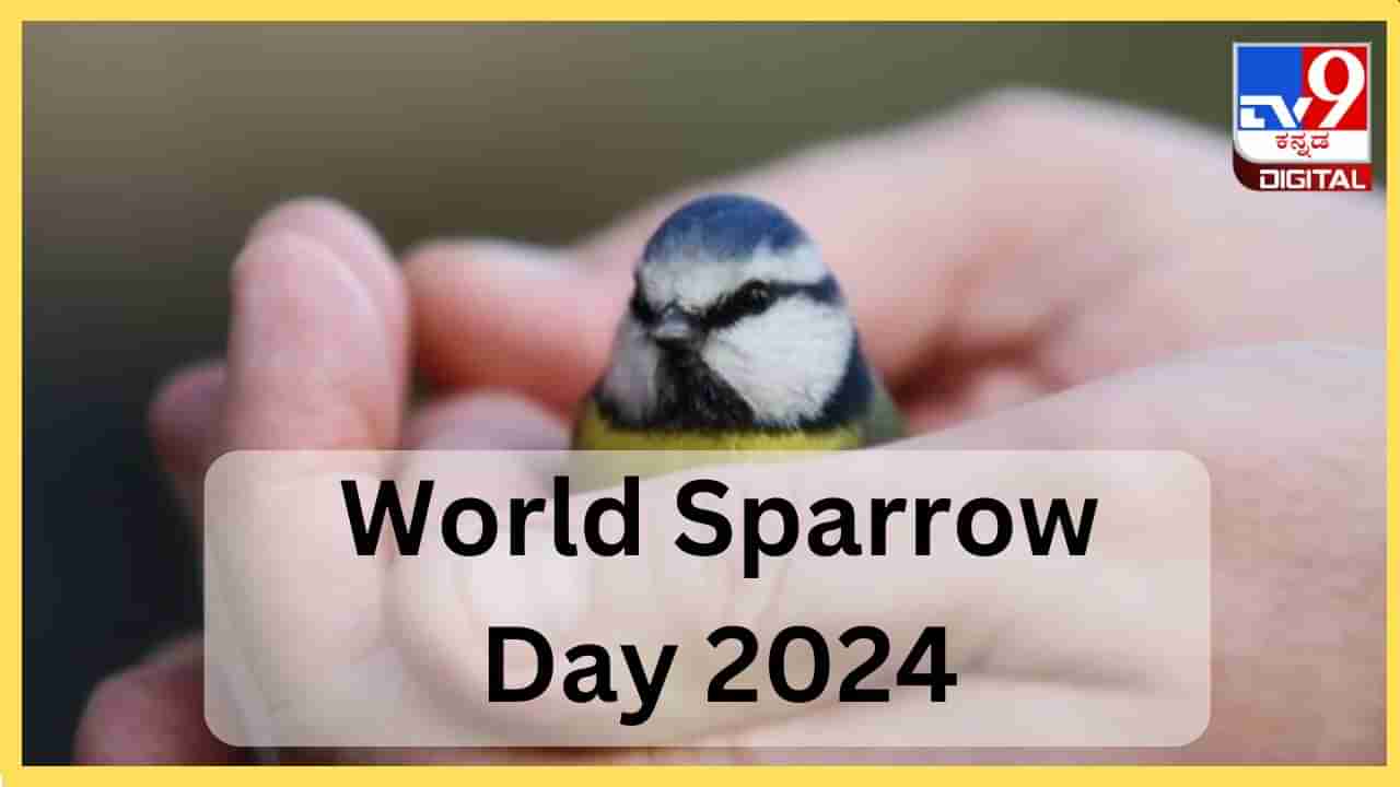 World sparrow day 2024 : ಪ್ಲೀಸ್​​ ಗುಬ್ಬಚ್ಚಿಗಳನ್ನು ಬದುಕಲು ಬಿಡಿ, ಅವುಗಳ ಉಳಿವು ನಮ್ಮ ಕೈಯಲ್ಲಿ