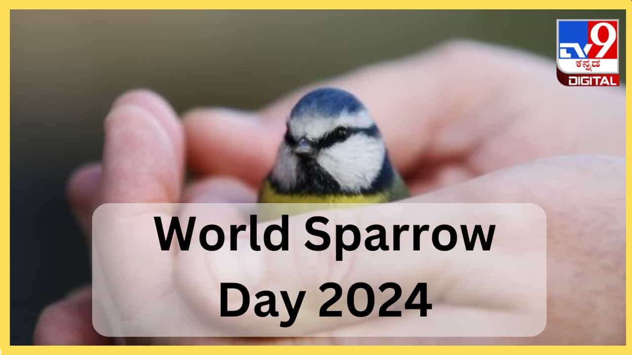 World sparrow day 2024 : ಪ್ಲೀಸ್ ಗುಬ್ಬಚ್ಚಿಗಳನ್ನು ಬದುಕಲು ಬಿಡಿ, ಅವುಗಳ ಉಳಿವು ನಮ್ಮ ಕೈಯಲ್ಲಿ World sparrow day 2024 : ಪ್ಲೀಸ್ ಗುಬ್ಬಚ್ಚಿಗಳನ್ನು ಬದುಕಲು ಬಿಡಿ, ಅವುಗಳ ಉಳಿವು ನಮ್ಮ ಕೈಯಲ್ಲಿ