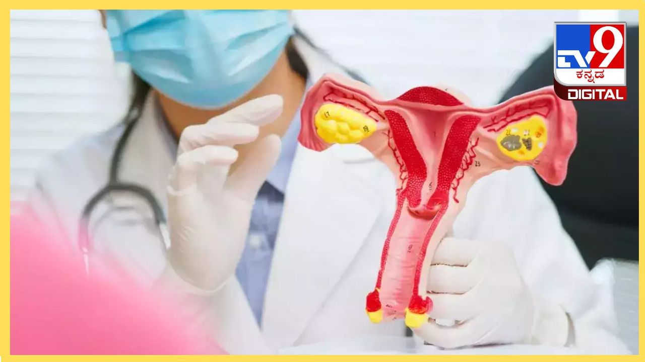 Uterus Didelphys: ಈ ಯುವತಿಗೆ ಎರಡು ಗರ್ಭಕೋಶ, ಎರಡು ಯೋನಿ, ಇದು ಗರ್ಭಾಶಯದ ಡಿಡೆಲ್ಸಿಸ್ ಕಾಯಿಲೆ?