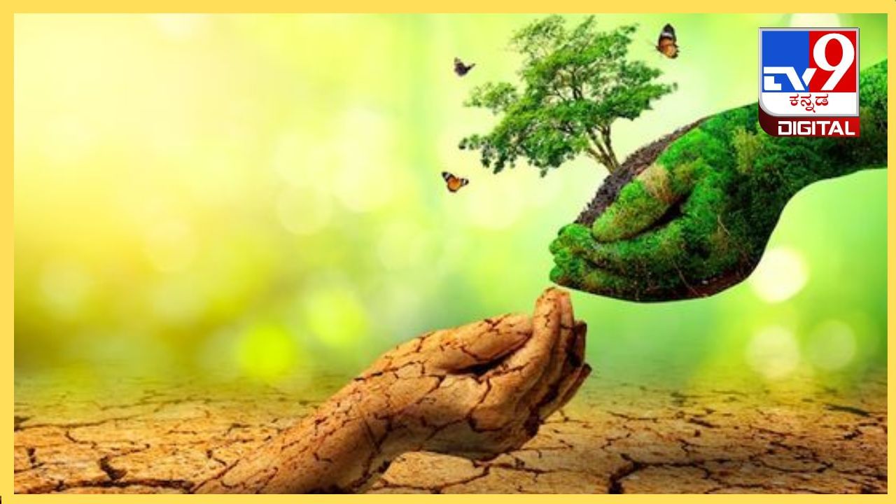 International Day of Forests 2024: ಸ್ವಾರ್ಥವನ್ನು ಬಿಟ್ಟು ಸಂಪತ್ತು ಭರಿತವಾದ ಅರಣ್ಯ ಉಳಿಸಿ