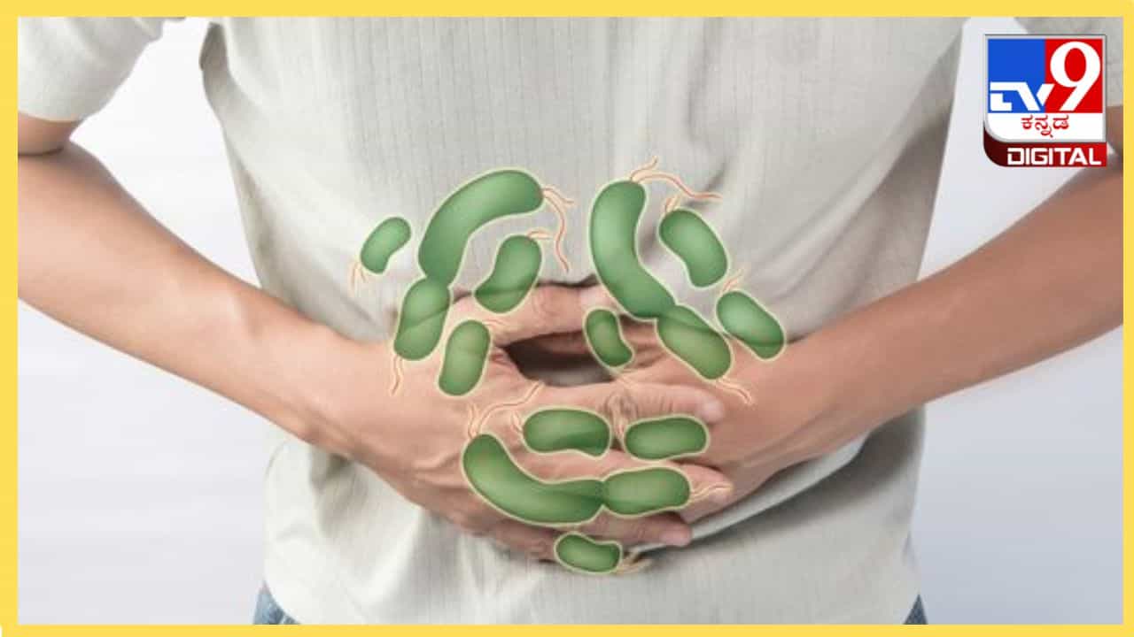 Food Poison : ಬಿಸಿಲ ಬೇಗೆಯ ನಡುವೆ ಫುಡ್ ಪಾಯಿಸನ್ ಸಮಸ್ಯೆ ಕಾಡುತ್ತಿದೆಯೇ? ಇಲ್ಲಿದೆ ಸರಳ ಪರಿಹಾರ Food Poison : ಬಿಸಿಲ ಬೇಗೆಯ ನಡುವೆ ಫುಡ್ ಪಾಯಿಸನ್ ಸಮಸ್ಯೆ ಕಾಡುತ್ತಿದೆಯೇ? ಇಲ್ಲಿದೆ ಸರಳ ಪರಿಹಾರ