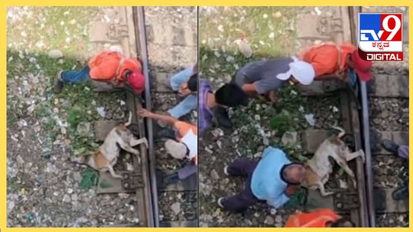 Viral Video: ರೈಲು ಹಳಿ ಮಧ್ಯೆ ಸಿಲುಕಿಕೊಂಡ ಶ್ವಾನ, ರೈಲ್ವೆ ಸಿಬ್ಬಂದಿಗಳ ರಕ್ಷಣಾ ಕಾರ್ಯಾಚರಣೆ ಹೇಗಿತ್ತು ನೋಡಿ?