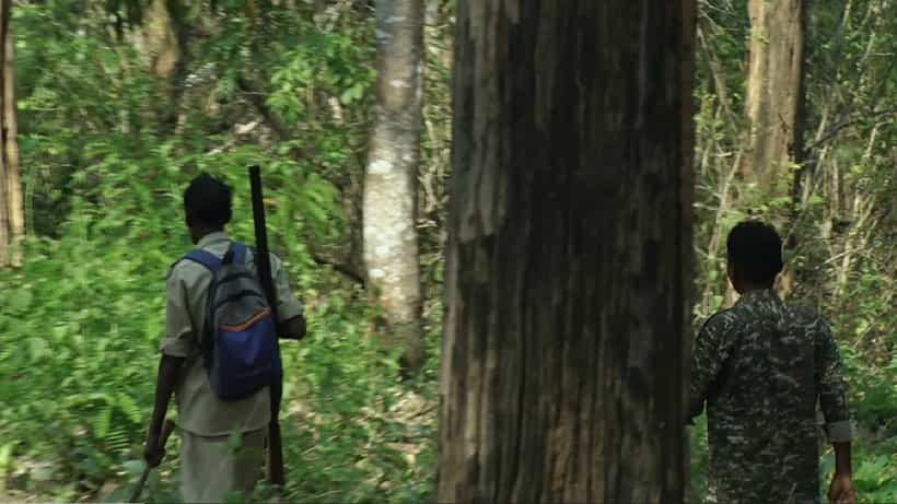 ಕೊಡಗು-ದಕ್ಷಿಣ ಕನ್ನಡ ಗಡಿಯಲ್ಲಿ ನಕ್ಸಲ್ ಸದ್ದು; ಅಂಗಡಿಯಿಂದ ದಿನಸಿ ಖರೀದಿಸಿ ತೆರಳಿದ ಬಂದೂಕು ದಾರಿಗಳ ತಂಡ