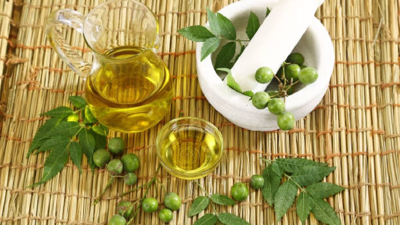 Neem: ಕಹಿಬೇವಿನ ಎಲೆಯನ್ನು ಅತಿಯಾಗಿ ಸೇವಿಸುವುದರಿಂದಾಗುವ ಅಡ್ಡಪರಿಣಾಮಗಳೇನು? Neem: ಕಹಿಬೇವಿನ ಎಲೆಯನ್ನು ಅತಿಯಾಗಿ ಸೇವಿಸುವುದರಿಂದಾಗುವ ಅಡ್ಡಪರಿಣಾಮಗಳೇನು?