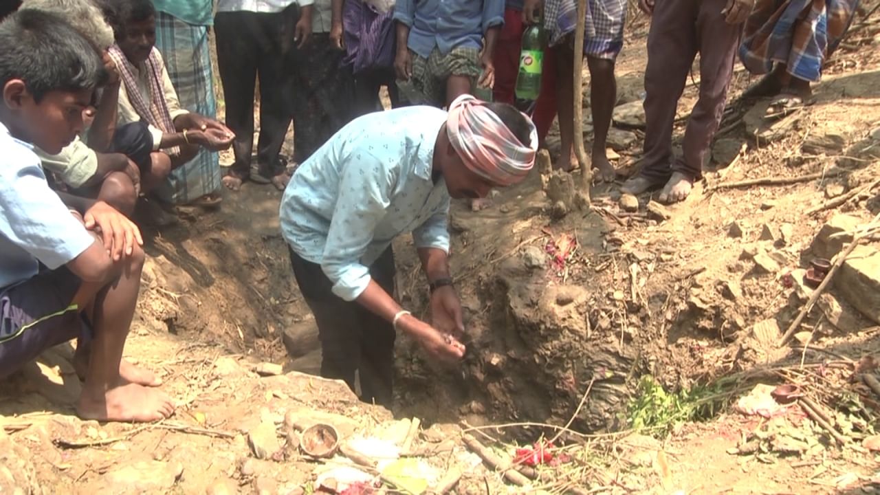 miracle in forest area: In the hot summer, a surprise water spring quench thirst of wild life