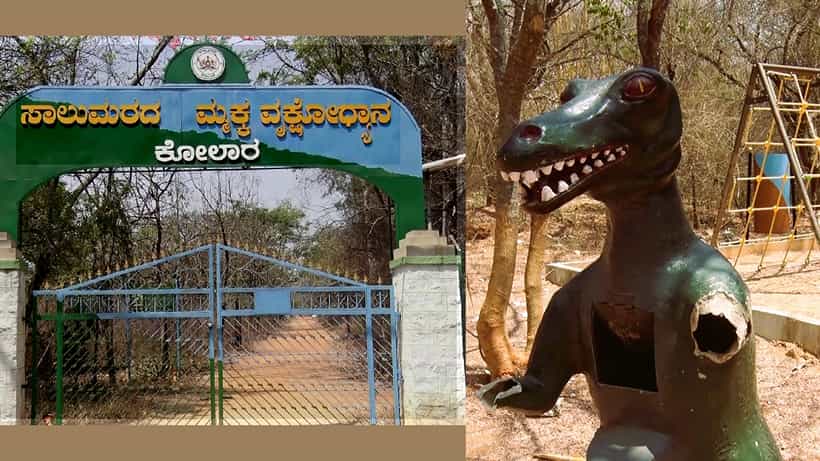 ವೃಕ್ಷಮಾತೆ ತಿಮ್ಮಕ್ಕ ಹೆಸರಿನ ಪಾರ್ಕ್ ಜಿಲ್ಲಾ ಅರಣ್ಯ ಇಲಾಖೆ ಕಚೇರಿಯ ಪಕ್ಕದಲ್ಲೆ ಇದೆ, ಆದರೆ 5 ವರ್ಷದಿಂದ ಬಾಗಿಲು ಮುಚ್ಚಿದೆ!
