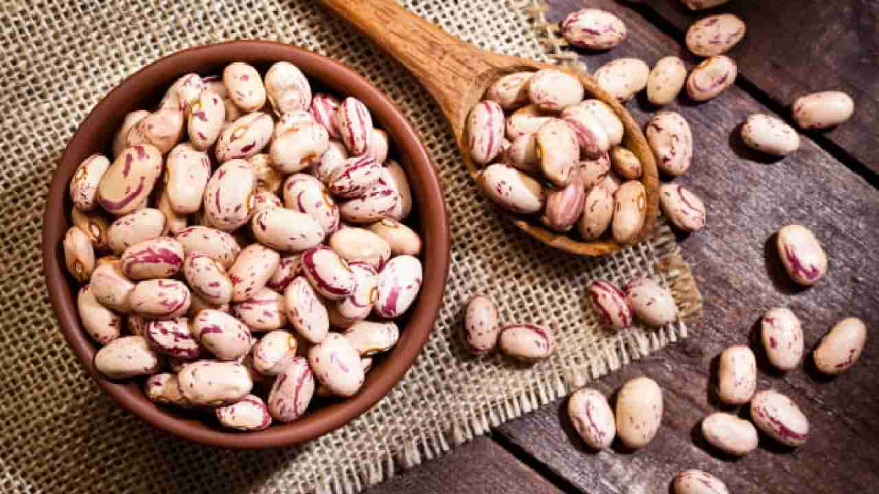 Pinto Beans: ದಿನವೂ ಪಿಂಟೊ ಬೀನ್ಸ್ ತಿನ್ನುವುದು ಒಳ್ಳೆಯದಾ?