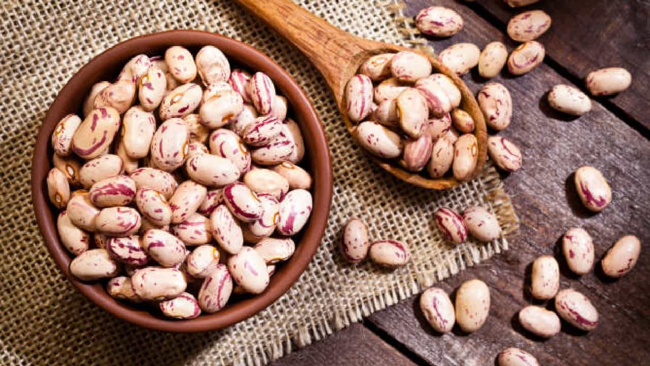 Pinto Beans: ದಿನವೂ ಪಿಂಟೊ ಬೀನ್ಸ್​ ತಿನ್ನುವುದು ಒಳ್ಳೆಯದಾ?