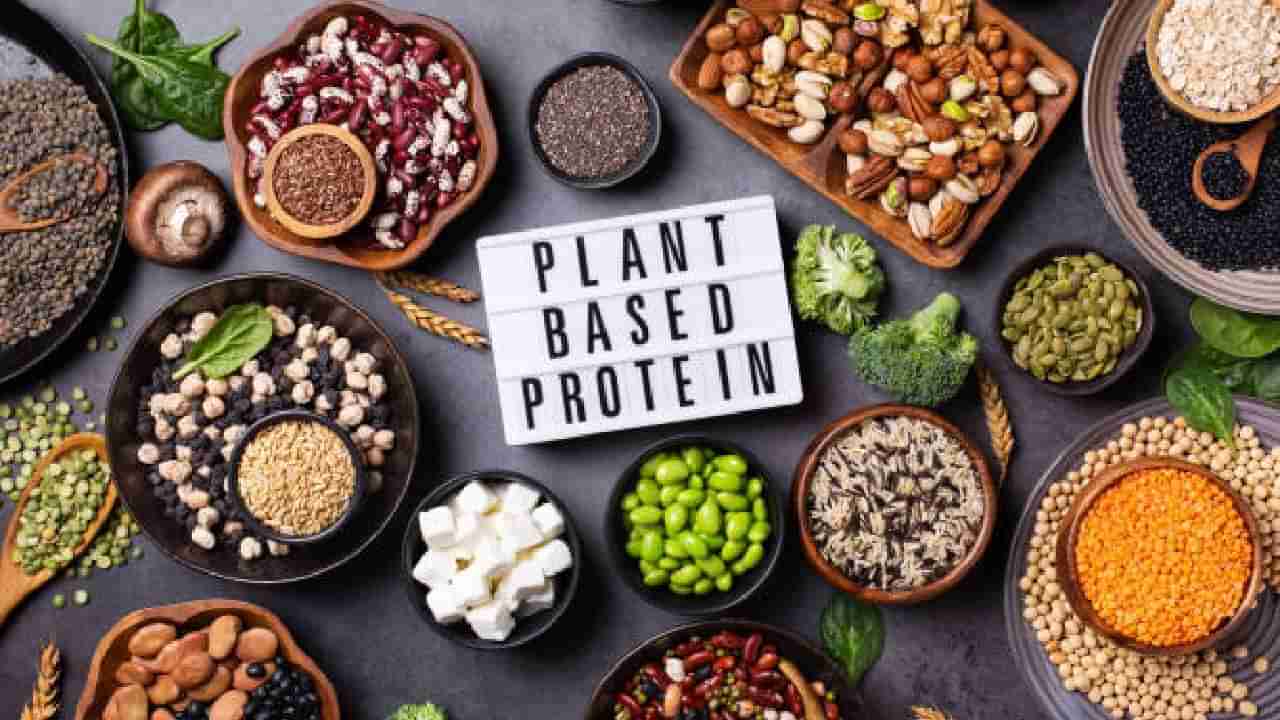 Plant Power Day 2024: ಸಸ್ಯ ಶಕ್ತಿ ದಿನದ ಮಹತ್ವವೇನು? ಇದನ್ನು ಏಕೆ ಆಚರಿಸಲಾಗುತ್ತದೆ?