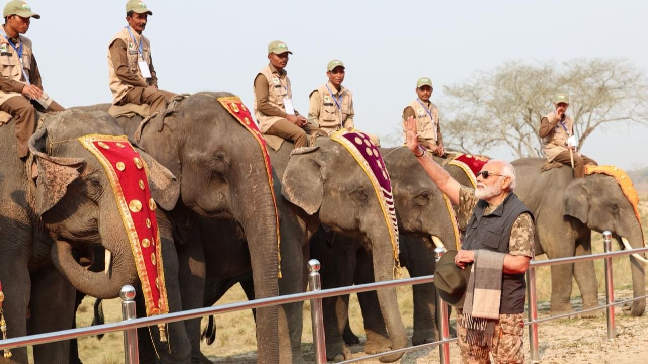 ಮಳೆಯಿಂದಾಗಿ ಮೇ ತಿಂಗಳಿನಿಂದ ಅಕ್ಟೋಬರ್ ವರೆಗೆ ಕಾಜಿರಂಗ ರಾಷ್ಟ್ರೀಯ ಉದ್ಯಾನವನಕ್ಕೆ ಪ್ರವಾಸಿಗರಿಗೆ ನಿರ್ಬಂಧವಿರುತ್ತದೆ. ಇಲ್ಲಿ ಸಫಾರಿಯನ್ನು ಜೀಪ್‌ಗಳು ಮತ್ತು ಆನೆಗಳಲ್ಲಿ ಮಾಡಲಾಗುತ್ತದೆ. ಇದನ್ನು ಆನ್‌ಲೈನ್‌ನಲ್ಲಿ ಸಹ ಬುಕ್ ಮಾಡಬಹುದು.