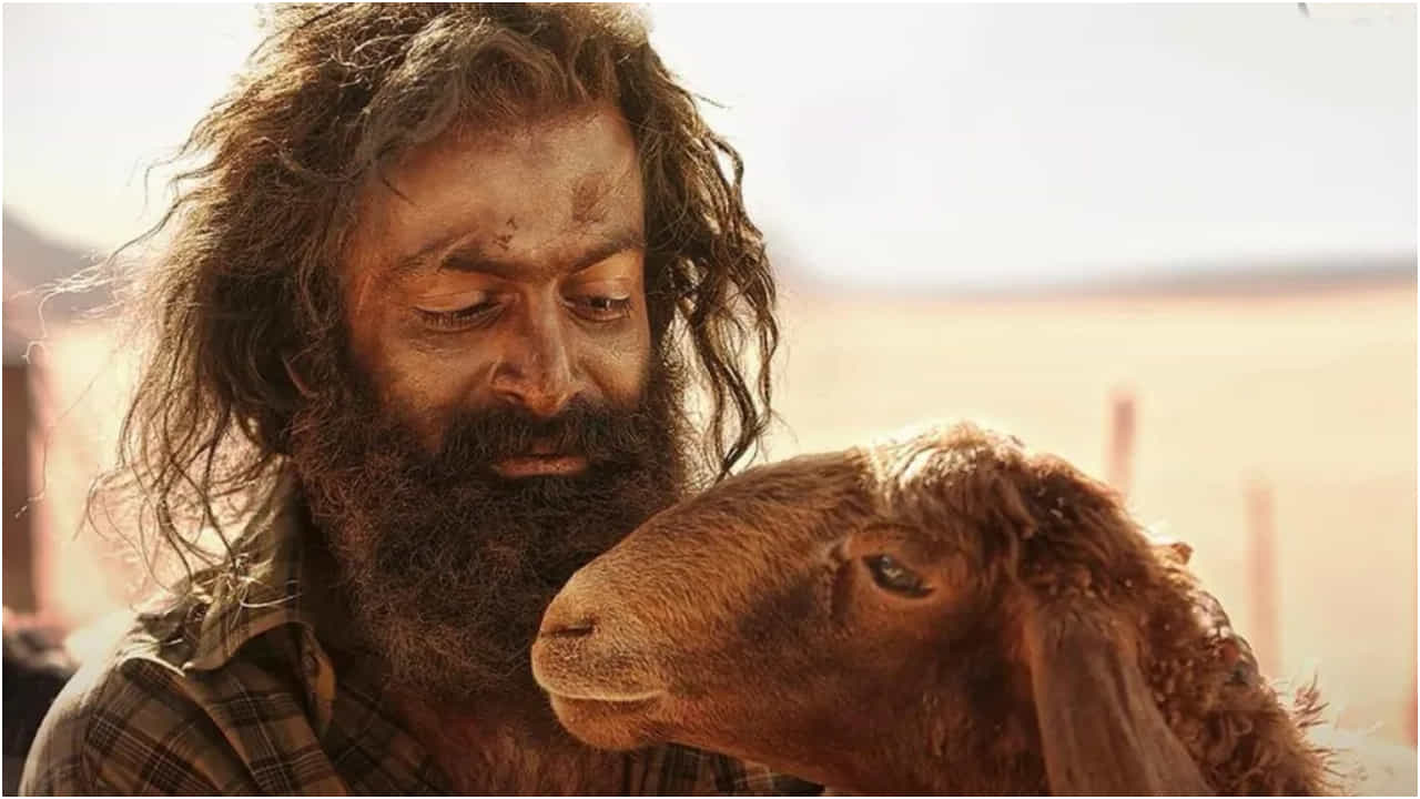 Aadujeevitham: ಮೂರು ದಿನಕ್ಕೆ 50 ಕೋಟಿ ರೂಪಾಯಿ ಗಳಿಸಿದ ‘ಆಡುಜೀವಿತಂ’ ಸಿನಿಮಾ Aadujeevitham: ಮೂರು ದಿನಕ್ಕೆ 50 ಕೋಟಿ ರೂಪಾಯಿ ಗಳಿಸಿದ ‘ಆಡುಜೀವಿತಂ’ ಸಿನಿಮಾ