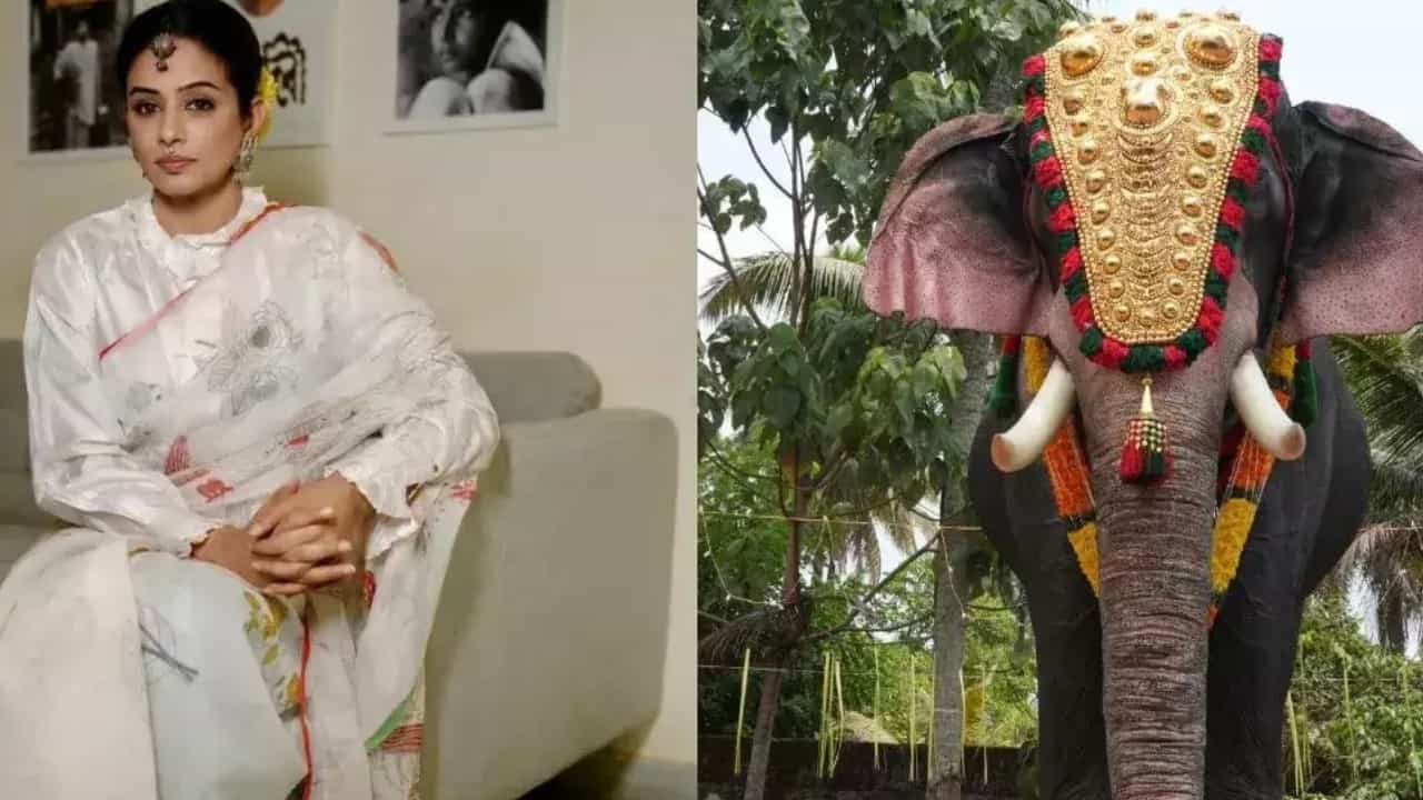 ದೇವಸ್ಥಾನಕ್ಕೆ ‘ಆನೆ’ ಉಡುಗೊರೆ ಕೊಟ್ಟ ನಟಿ ಪ್ರಿಯಾಮಣಿ ದೇವಸ್ಥಾನಕ್ಕೆ ‘ಆನೆ’ ಉಡುಗೊರೆ ಕೊಟ್ಟ ನಟಿ ಪ್ರಿಯಾಮಣಿ