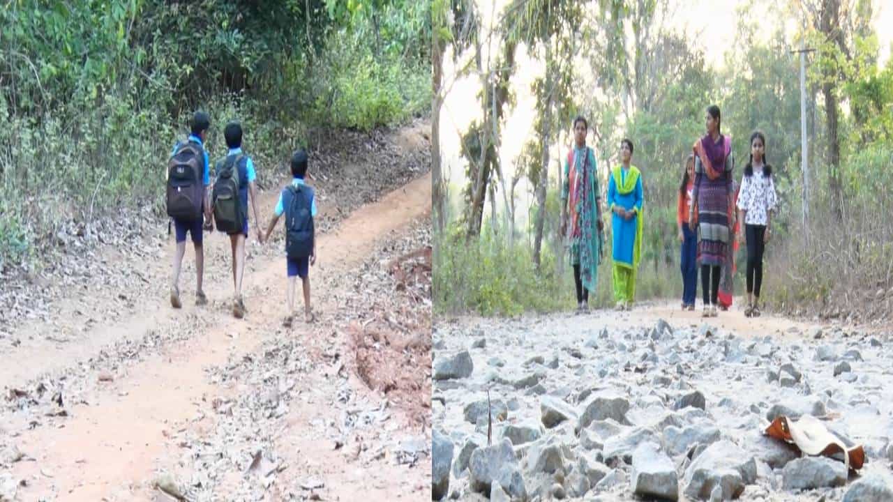 ಶಿವಮೊಗ್ಗ: ಶಿಕ್ಷಣ ಸಚಿವರ ತವರು ಜಿಲ್ಲೆಯಲ್ಲಿಯೇ ಶಾಲೆಗೆ ಹೋಗಲು ವಿದ್ಯಾರ್ಥಿಗಳ ಪರದಾಟ; ರಸ್ತೆಗಾಗಿ ಮಕ್ಕಳ ಒತ್ತಾಯ ಶಿವಮೊಗ್ಗ: ಶಿಕ್ಷಣ ಸಚಿವರ ತವರು ಜಿಲ್ಲೆಯಲ್ಲಿಯೇ ಶಾಲೆಗೆ ಹೋಗಲು ವಿದ್ಯಾರ್ಥಿಗಳ ಪರದಾಟ; ರಸ್ತೆಗಾಗಿ ಮಕ್ಕಳ ಒತ್ತಾಯ
