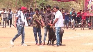 ಹೃದಯಾಘಾತದಿಂದ ಶಿವರಾತ್ರಿಯಂದೇ ಶಿವೈಕ್ಯಳಾದ ಧರ್ಮಸ್ಥಳದ ಆನೆ ಲತಾ