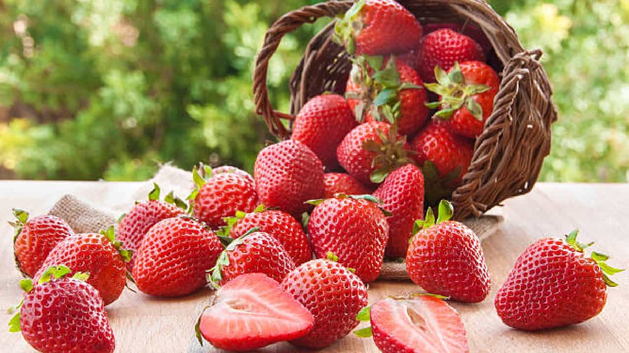 Strawberries: ಡಯಾಬಿಟಿಸ್ ಇದ್ದರೆ ಸ್ಟ್ರಾಬೆರಿ ಹಣ್ಣು ತಿನ್ನಬಹುದಾ? Strawberries: ಡಯಾಬಿಟಿಸ್ ಇದ್ದರೆ ಸ್ಟ್ರಾಬೆರಿ ಹಣ್ಣು ತಿನ್ನಬಹುದಾ?