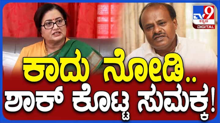 ಮಂಡ್ಯ ಕ್ಷೇತ್ರದ ಟಿಕೆಟ್ ಬಿಜೆಪಿ ವರಿಷ್ಠರು ತನಗೆ ಮಾತ್ರ ಮೀಸಲಿಟ್ಟಿದ್ದಾರೆ ಎನ್ನುವಂತಿದೆ ಸುಮಲತಾ ಅಂಬರೀಶ್ ಮಾತಿನ ವರಸೆ ಮಂಡ್ಯ ಕ್ಷೇತ್ರದ ಟಿಕೆಟ್ ಬಿಜೆಪಿ ವರಿಷ್ಠರು ತನಗೆ ಮಾತ್ರ ಮೀಸಲಿಟ್ಟಿದ್ದಾರೆ ಎನ್ನುವಂತಿದೆ ಸುಮಲತಾ ಅಂಬರೀಶ್ ಮಾತಿನ ವರಸೆ