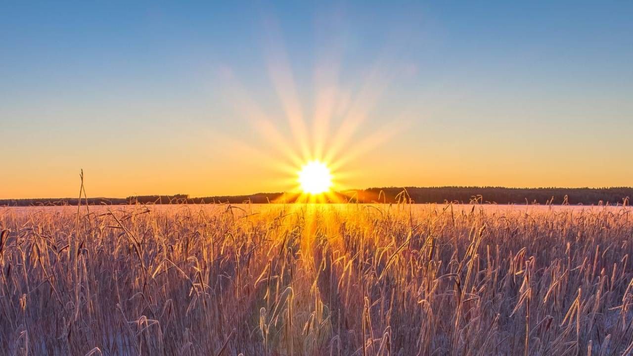 Karnataka Weather: ಕರ್ನಾಟಕದ ಕರಾವಳಿ, ಉತ್ತರ ಒಳನಾಡಿನಲ್ಲಿ ಗರಿಷ್ಠ ತಾಪಮಾನ ಮತ್ತಷ್ಟು ಹೆಚ್ಚಳ ಸಾಧ್ಯತೆ Karnataka Weather: ಕರ್ನಾಟಕದ ಕರಾವಳಿ, ಉತ್ತರ ಒಳನಾಡಿನಲ್ಲಿ ಗರಿಷ್ಠ ತಾಪಮಾನ ಮತ್ತಷ್ಟು ಹೆಚ್ಚಳ ಸಾಧ್ಯತೆ
