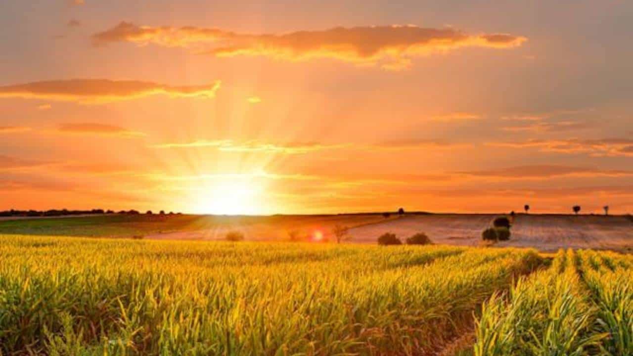 Karnataka Weather: ಕಲಬುರಗಿಯಲ್ಲಿ ಅತ್ಯಂತ ಗರಿಷ್ಠ ಉಷ್ಣಾಂಶ, ದಾವಣಗೆರೆಯಲ್ಲಿ ಕನಿಷ್ಠ ತಾಪಮಾನ ದಾಖಲು Karnataka Weather: ಕಲಬುರಗಿಯಲ್ಲಿ ಅತ್ಯಂತ ಗರಿಷ್ಠ ಉಷ್ಣಾಂಶ, ದಾವಣಗೆರೆಯಲ್ಲಿ ಕನಿಷ್ಠ ತಾಪಮಾನ ದಾಖಲು