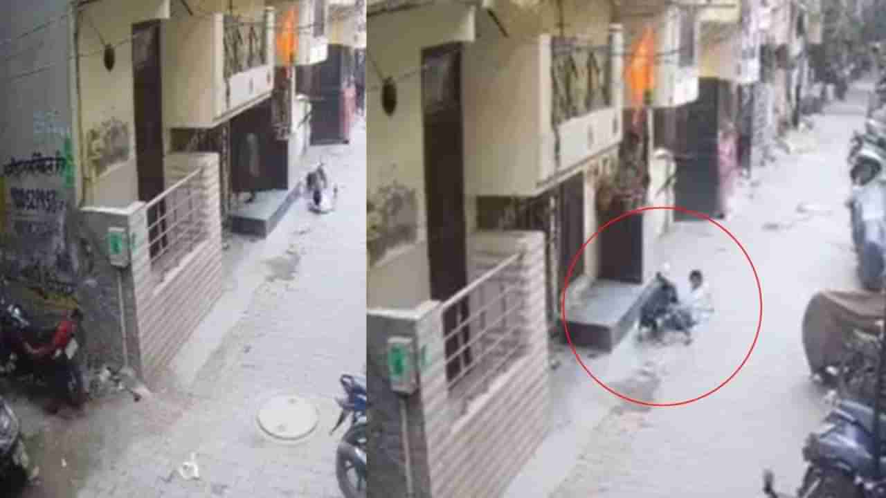 Video: ಬಾಲಕನ ಮೇಲೆ ಪಿಟ್ಬುಲ್ ದಾಳಿ, ಸಹಾಯಕ್ಕೆ ಧಾವಿಸಿದ ಬೀದಿ ನಾಯಿಗಳು