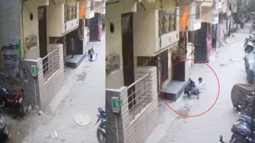 Video: ಬಾಲಕನ ಮೇಲೆ ಪಿಟ್ಬುಲ್ ದಾಳಿ, ಸಹಾಯಕ್ಕೆ ಧಾವಿಸಿದ ಬೀದಿ ನಾಯಿಗಳು