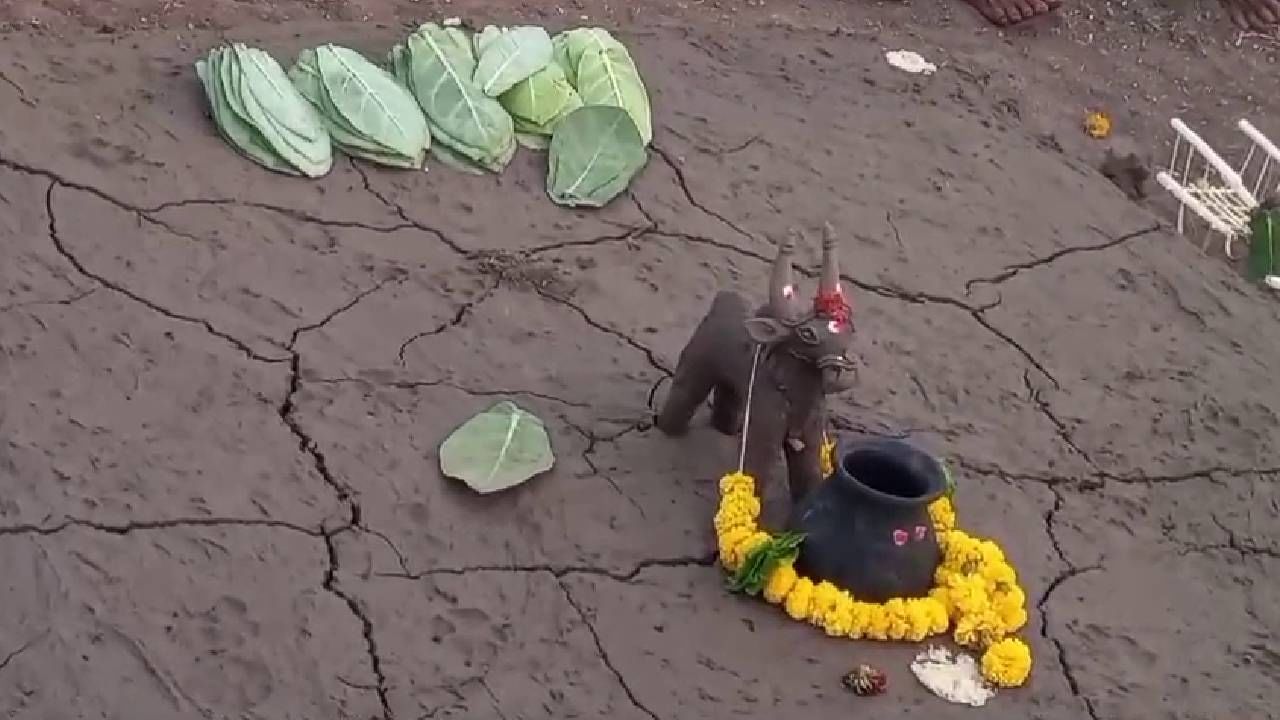 Karnataka News in Kannada: Bagalkot Bilagi Farmers ekke ele Bhavishya