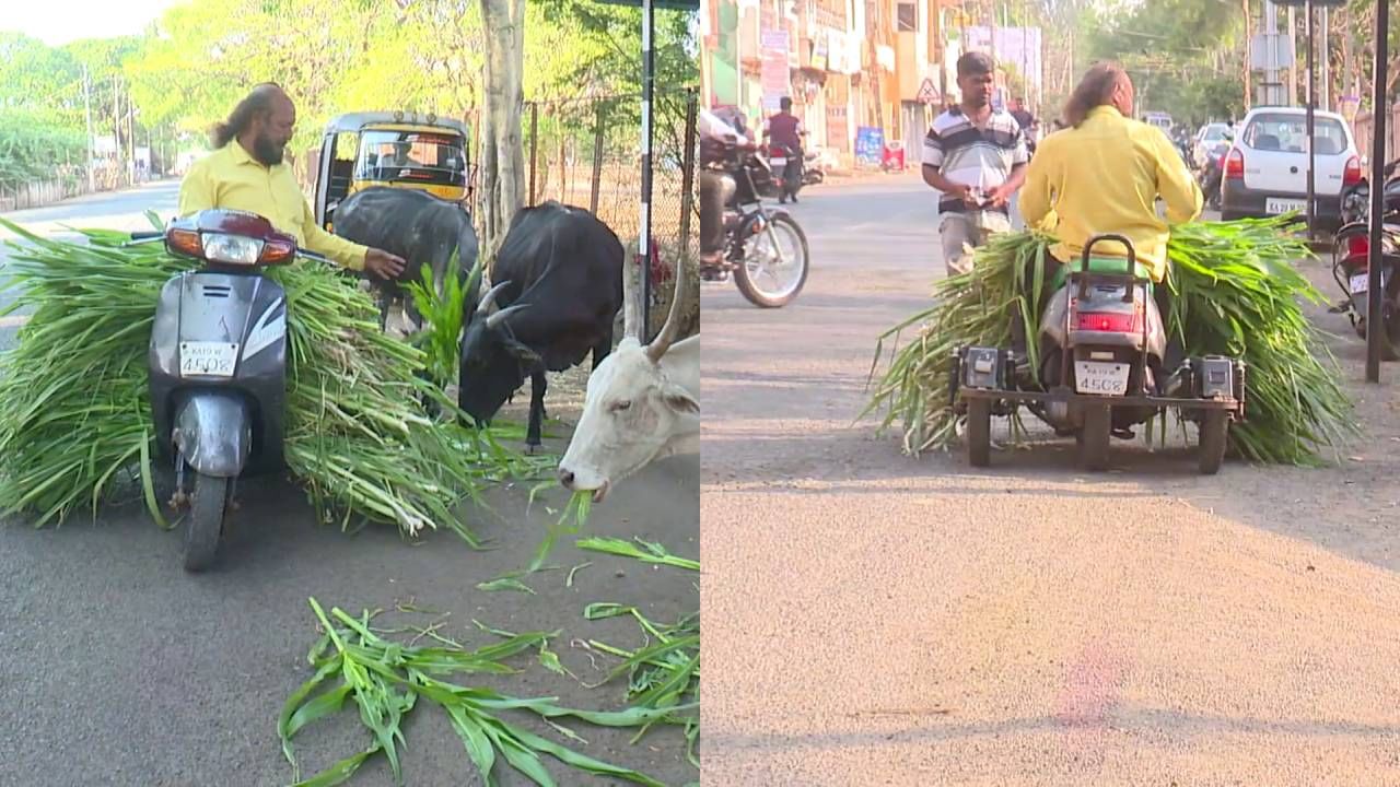 ಬಾಗಲಕೋಟೆ: ಶ್ವಾನ ಹಾಗೂ ಜಾನುವಾರುಗಳ ಬಾಯಾರಿಕೆ ಮತ್ತು ಹಸಿವು ತಣಿಸುವ ವಿಕಲಚೇತನ