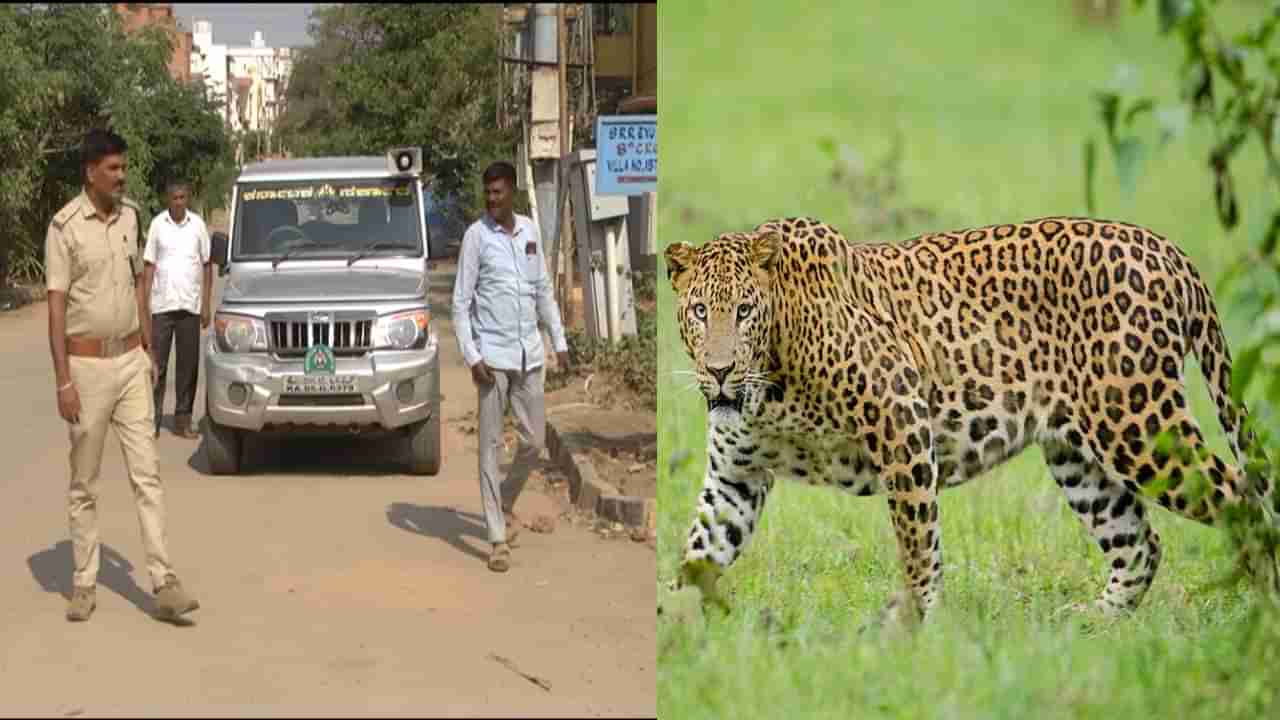 ಸಿಲಿಕಾನ್ ಸಿಟಿ ಮಂದಿಗೆ ತಪ್ಪುತ್ತಿಲ್ಲ ಚಿರತೆ ಕಾಟ; ಜನವಸತಿ ಪ್ರದೇಶದಲ್ಲಿ ಪ್ರತ್ಯಕ್ಷ, ಆತಂಕದಲ್ಲಿ ಜನ