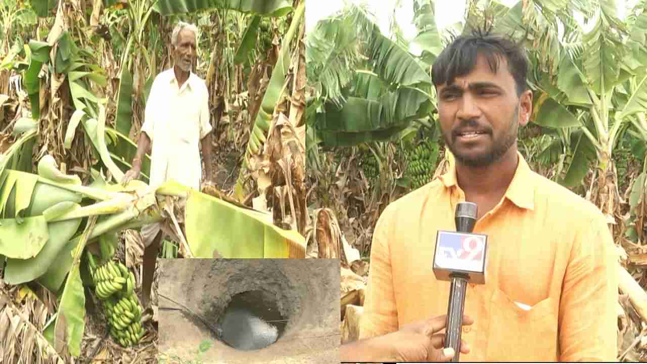 ಬೀದರ್​: ಬತ್ತಿದ ಬಾವಿ, ಬೋರ್​ವೆಲ್ ನೀರು; ‘ಬಾಳೆ’ ಬೆಳೆಸಿದ್ದ ರೈತ ಕಂಗಾಲು