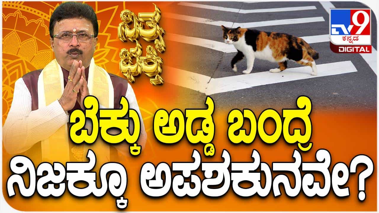 Daily Devotional: ದಾರಿಯಲ್ಲಿ ಬೆಕ್ಕು ಅಡ್ಡ ಬಂದರೆ ನಿಜಕ್ಕೂ ಅಪಶಕುನವೇ? ವಿಡಿಯೋ ನೋಡಿ Daily Devotional: ದಾರಿಯಲ್ಲಿ ಬೆಕ್ಕು ಅಡ್ಡ ಬಂದರೆ ನಿಜಕ್ಕೂ ಅಪಶಕುನವೇ? ವಿಡಿಯೋ ನೋಡಿ