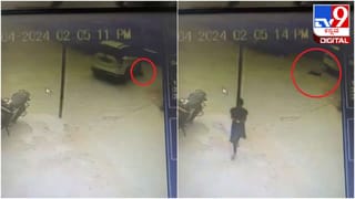 ಇನ್ಸ್ಟಾಗ್ರಾಮ್​​ ಮೂಲಕ ಪ್ರೀತಿ ಚಿಗುರಿ 80 ವರ್ಷದ ವ್ಯಕ್ತಿಯನ್ನು ವರಿಸಿದ 34ರ ಮಹಿಳೆ