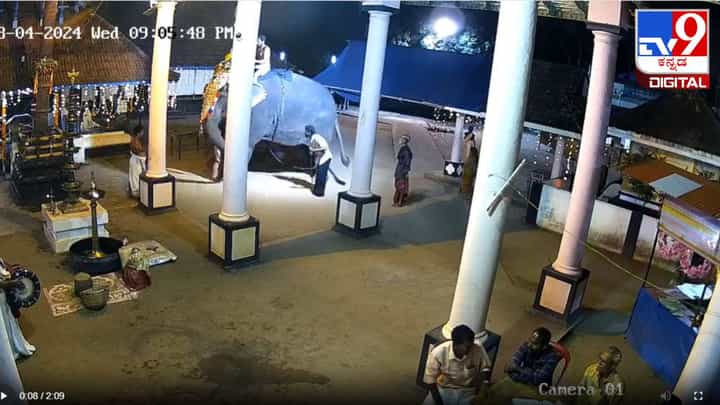 Viral Video: ಆನೆ ತುಳಿತಕ್ಕೆ ಮಾವುತ ಸಾವು; ಸಿಸಿಟಿವಿ ದೃಶ್ಯಾವಳಿ ಇಲ್ಲಿದೆ ನೋಡಿ Viral Video: ಆನೆ ತುಳಿತಕ್ಕೆ ಮಾವುತ ಸಾವು; ಸಿಸಿಟಿವಿ ದೃಶ್ಯಾವಳಿ ಇಲ್ಲಿದೆ ನೋಡಿ