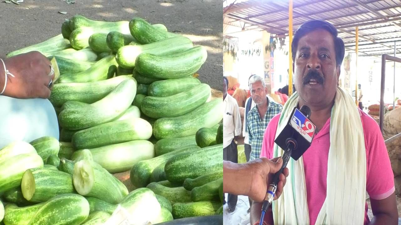 ಚಿಕ್ಕಬಳ್ಳಾಪುರ: ತಾಪಮಾನ ಎಫೆಕ್ಟ್ - ಸೌತೆಕಾಯಿಗೆ ಭಾರೀ ಡಿಮ್ಯಾಂಡ್!