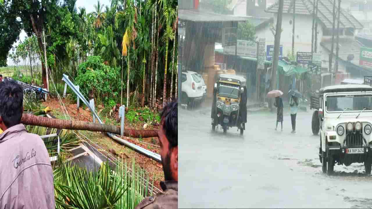 ಚಿಕ್ಕಮಗಳೂರು: ಬಿರುಗಾಳಿ ಸಹಿತ ಮಳೆಗೆ ಕೇವಲ 10 ದಿನಗಳ ಅಂತರದಲ್ಲೇ ಎರಡು ಬಲಿ; ಇಬ್ಬರಿಗೆ ಗಂಭೀರ ಗಾಯ