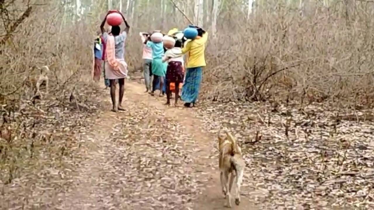 Davangere Channagiri villagers giving drinking water for Forest annimmals 