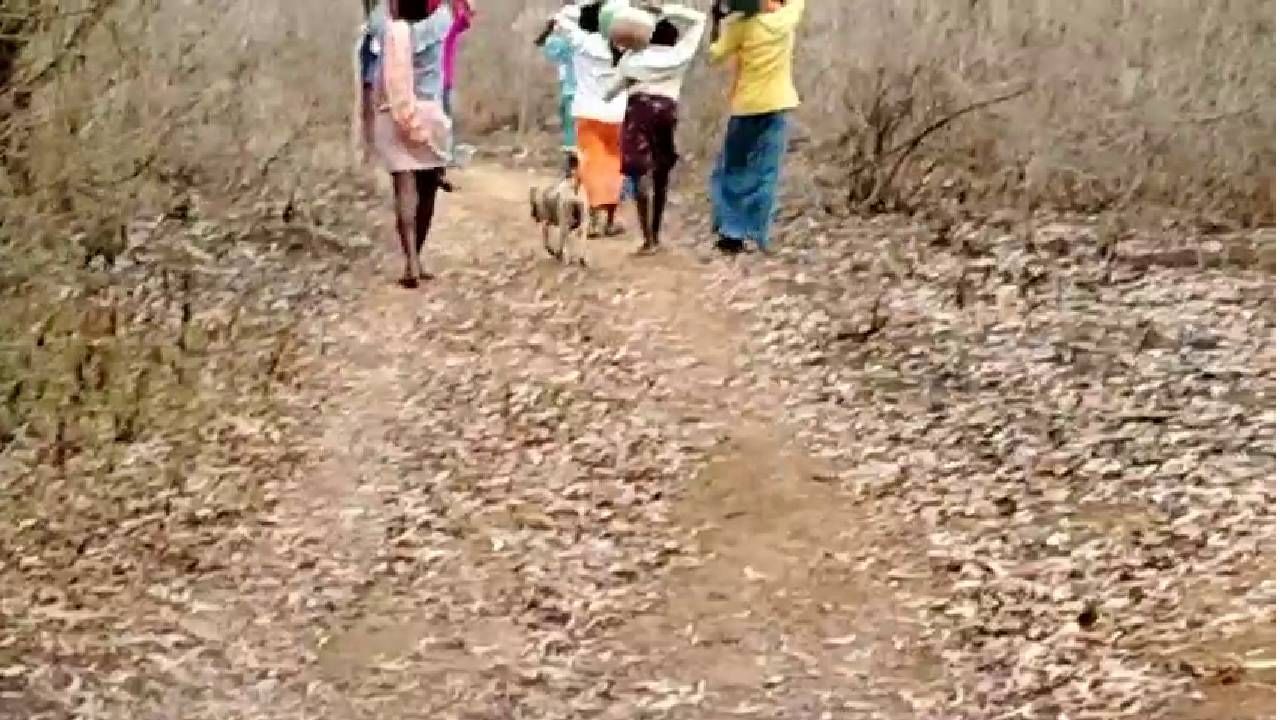 Davangere Channagiri villagers giving drinking water for Forest annimmals 