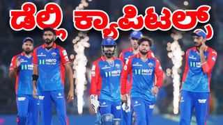 IPL 2024: ಹೊಸ ಮೈಲುಗಲ್ಲು ದಾಟಿದ ರಿಷಭ್ ಪಂತ್