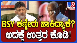 Video: ಕರಡಿಗಳ ಜತೆಗೆ ಕಾಡೆಲ್ಲಾ ಅಲೆದಾಡಿದ ಶ್ವಾನ, ಡ್ರೋನ್​​​​ ದೃಶ್ಯ ಕಂಡು ಮಾಲೀಕ ಅಚ್ಚರಿ