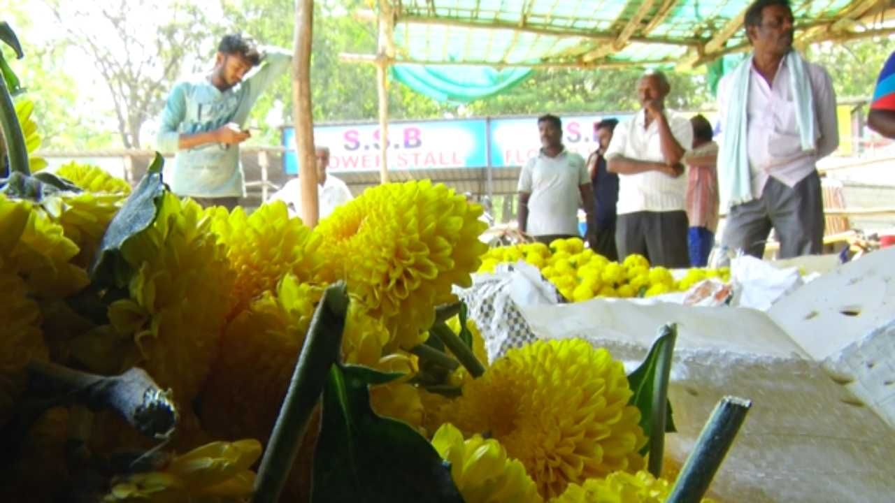 ಜಿಲ್ಲೆಯಲ್ಲಿ 10 ಸಾವಿರಕ್ಕೂ ಹೆಚ್ಚು ಹೆಕ್ಟರ್​ ಪ್ರದೇಶಗಳಲ್ಲಿ ಹೂ ಬೆಳೆಯಲಾಗುತ್ತಿದೆ. ಆದರೆ ಈಗ ತಾಪಮಾನ ಹೆಚ್ಚಾದ ಕಾರಣ ಹೂ ಗಿಡಗಳನ್ನು ಬೆಳೆಯಲು ಕಷ್ಟಸಾಧ್ಯವಾಗಿದೆ. ಇದರಿಂದ ಮಾರುಕಟ್ಟೆಗೆ ಹೂ ಗಳೆ ಬರುತ್ತಿಲ್ಲ. ಹೀಗಾಗಿ ವ್ಯಾಪಾರಿಗಳು ಕಂಗಾಲಾಗಿದ್ದು, ಹೂ ತಂದು ಕೊಡಿ ಅಂತ ರೈತರನ್ನು ಬೇಡಿಕೊಳ್ಳುತ್ತಿದ್ದಾರೆ.
