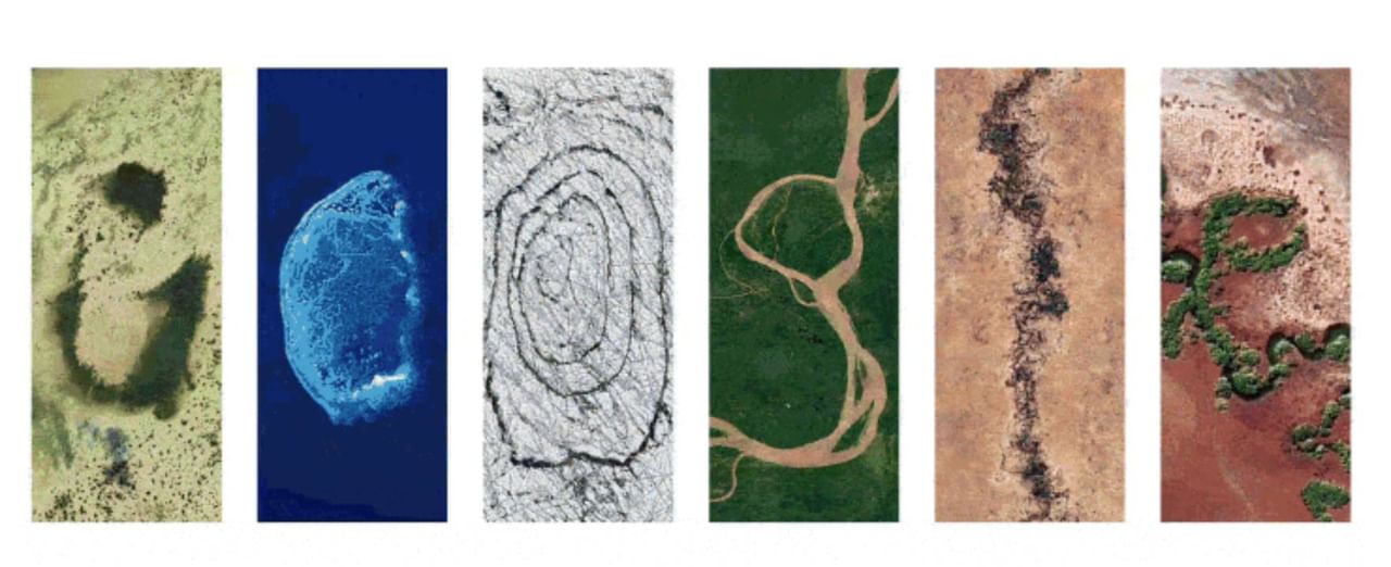 World Earth Day 2024: Googleನ ಪ್ರತಿ ಅಕ್ಷರದಲ್ಲಿ ಭೂಮಿಯ ಚಿತ್ರಣ, ಡೂಡಲ್ ಮೂಲಕ ವಿಶ್ವ ಭೂ ದಿನಕ್ಕೆ ಗೂಗಲ್ ವಿಶೇಷ ಗೌರವ