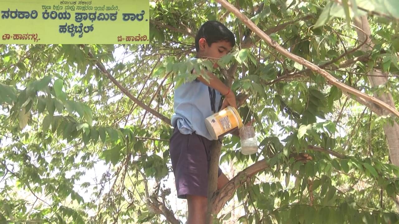 ಪಕ್ಷಿಗಳ ರಕ್ಷಣೆಗೆ ನಿಂತ ಹಾವೇರಿಯ ಸರ್ಕಾರಿ ಶಾಲೆ ಮಕ್ಕಳು ಪಕ್ಷಿಗಳ ರಕ್ಷಣೆಗೆ ನಿಂತ ಹಾವೇರಿಯ ಸರ್ಕಾರಿ ಶಾಲೆ ಮಕ್ಕಳು