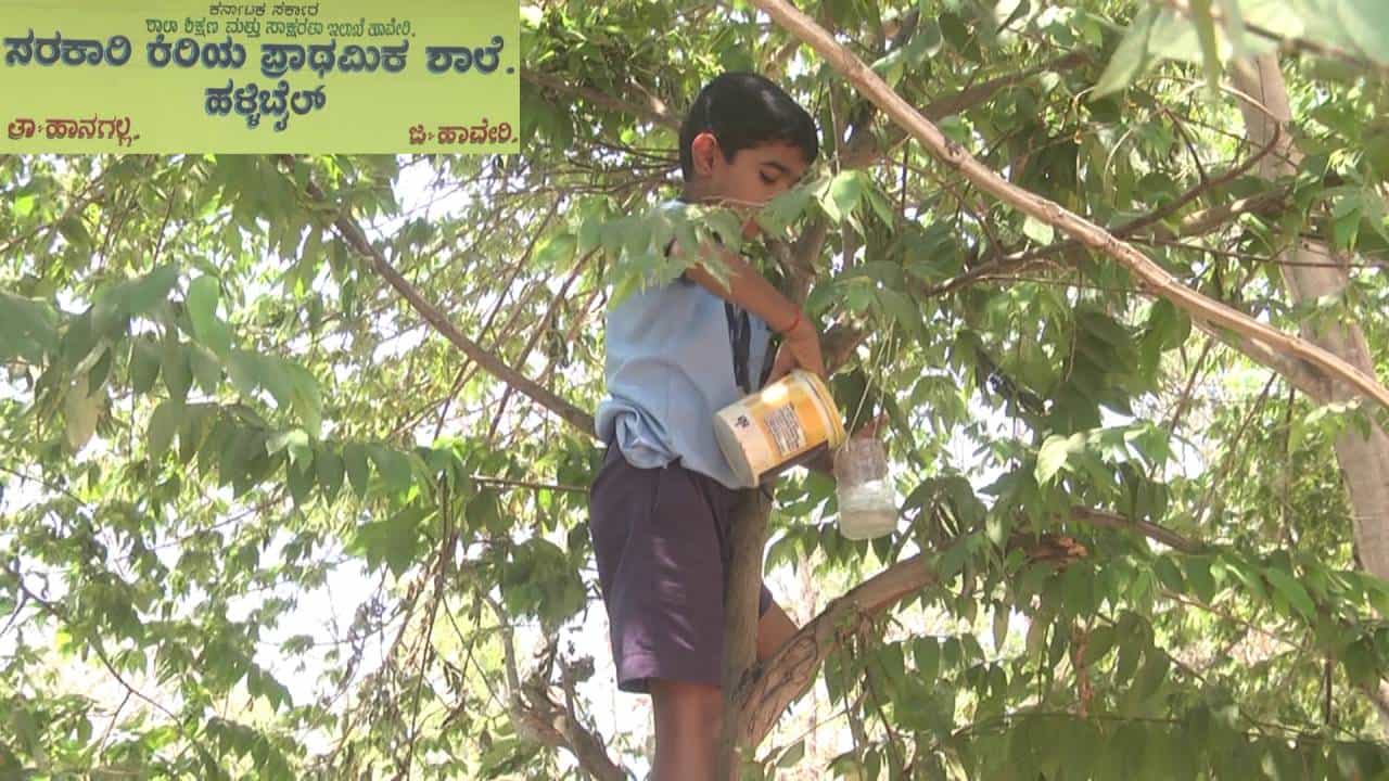 ಪಕ್ಷಿಗಳ ರಕ್ಷಣೆಗೆ ನಿಂತ ಹಾವೇರಿಯ ಸರ್ಕಾರಿ ಶಾಲೆ ಮಕ್ಕಳು ಪಕ್ಷಿಗಳ ರಕ್ಷಣೆಗೆ ನಿಂತ ಹಾವೇರಿಯ ಸರ್ಕಾರಿ ಶಾಲೆ ಮಕ್ಕಳು