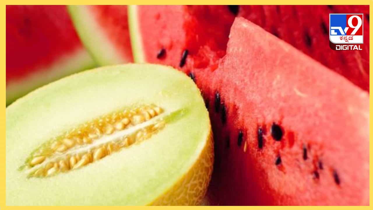 Watermelon or muskmelon: ಕಲ್ಲಂಗಡಿ ಅಥವಾ ಕರಬೂಜ, ಬೇಸಿಗೆಗೆ ಯಾವ ಹಣ್ಣು ಒಳ್ಳೆಯದು Watermelon or muskmelon: ಕಲ್ಲಂಗಡಿ ಅಥವಾ ಕರಬೂಜ, ಬೇಸಿಗೆಗೆ ಯಾವ ಹಣ್ಣು ಒಳ್ಳೆಯದು