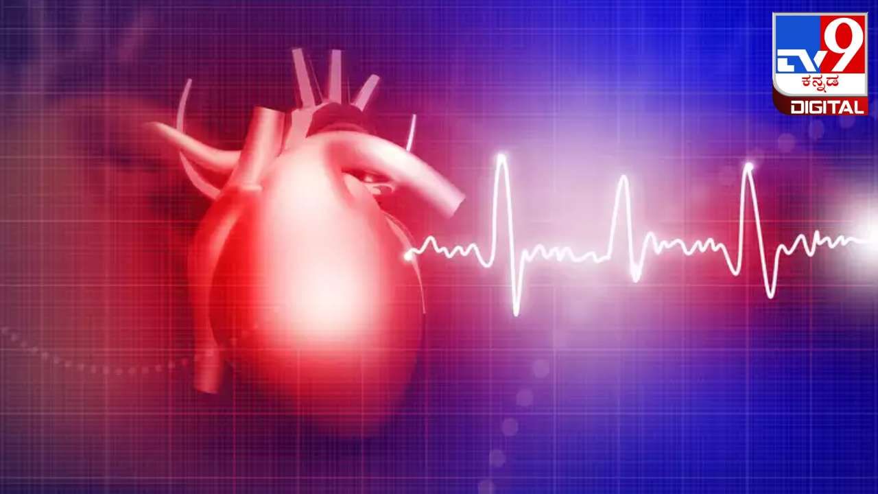 Heat wave and heart attack: ಹೀಟ್ ಸ್ಟ್ರೋಕ್ ನಿಂದ ಹೃದಯಾಘಾತವನ್ನು ತಡೆಯುವುದು ಹೇಗೆ? ಇಲ್ಲಿದೆ ವೈದ್ಯರ ಸಲಹೆ Heat wave and heart attack: ಹೀಟ್ ಸ್ಟ್ರೋಕ್ ನಿಂದ ಹೃದಯಾಘಾತವನ್ನು ತಡೆಯುವುದು ಹೇಗೆ? ಇಲ್ಲಿದೆ ವೈದ್ಯರ ಸಲಹೆ