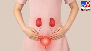 Parenting Tips: ನಿಮ್ಮ ಮಗುವನ್ನು ಮೊದಲ ಬಾರಿಗೆ ಶಾಲೆಗೆ ಕಳುಹಿಸುತ್ತಿದ್ದರೆ, ಈ ವಿಷಯಗಳನ್ನು ನೆನಪಿನಲ್ಲಿಡಿ