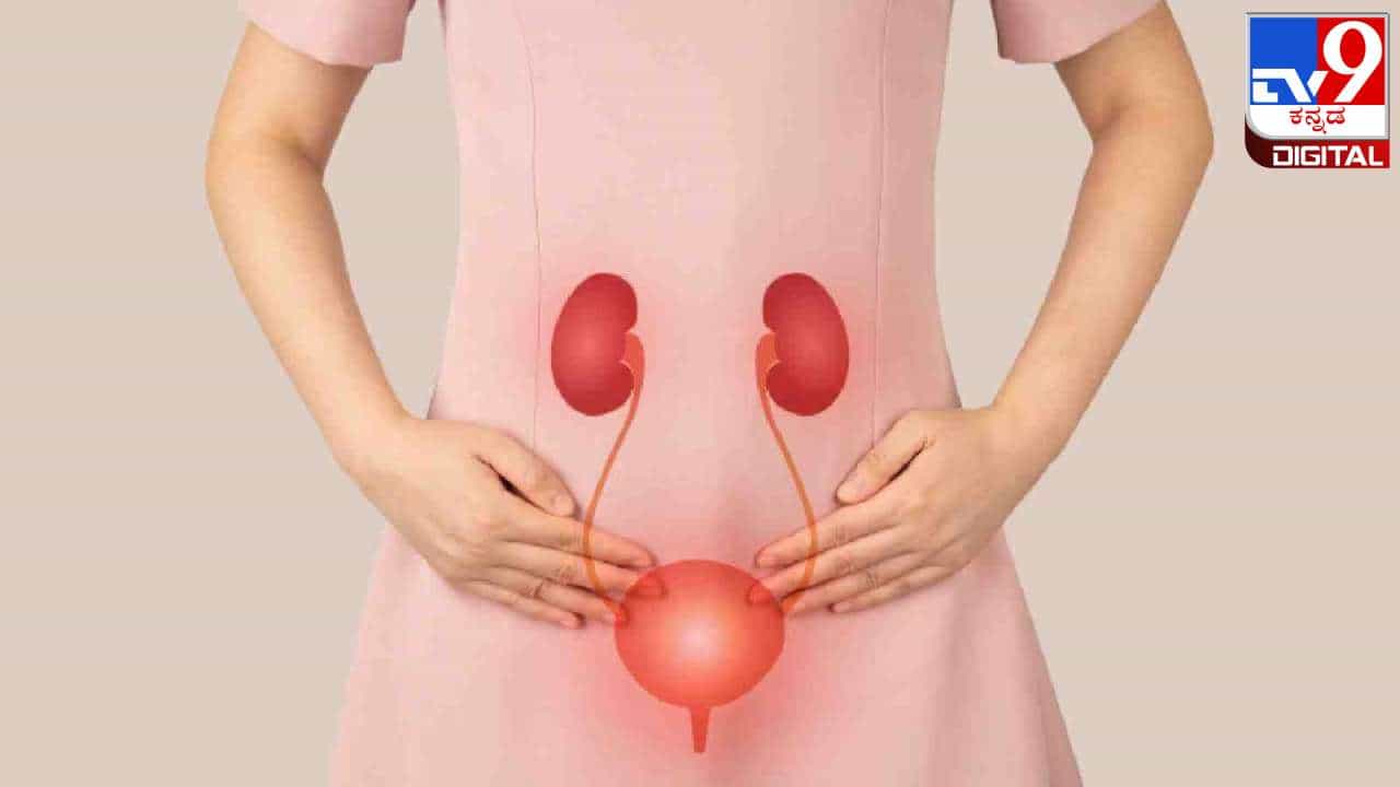 Health Care Tips: ಬೇಸಿಗೆಯಲ್ಲಿ ಕಾಡುವ ಉರಿಮೂತ್ರ ಸಮಸ್ಯೆಗೆ ಇಲ್ಲಿದೆ ಪರಿಹಾರ Health Care Tips: ಬೇಸಿಗೆಯಲ್ಲಿ ಕಾಡುವ ಉರಿಮೂತ್ರ ಸಮಸ್ಯೆಗೆ ಇಲ್ಲಿದೆ ಪರಿಹಾರ